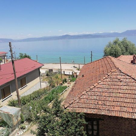 Villa Shine Apartment 1 Struga Eksteriør billede