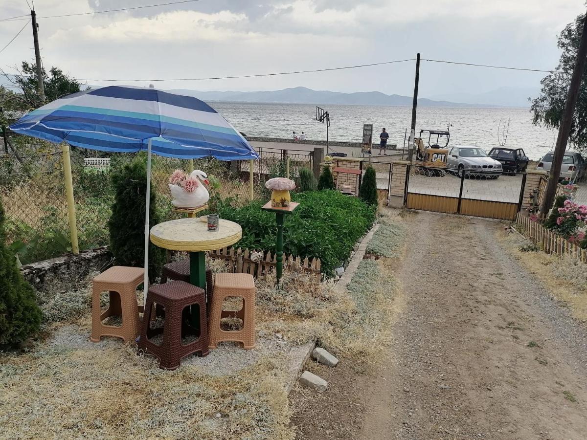 Villa Shine Apartment 1 Struga Eksteriør billede